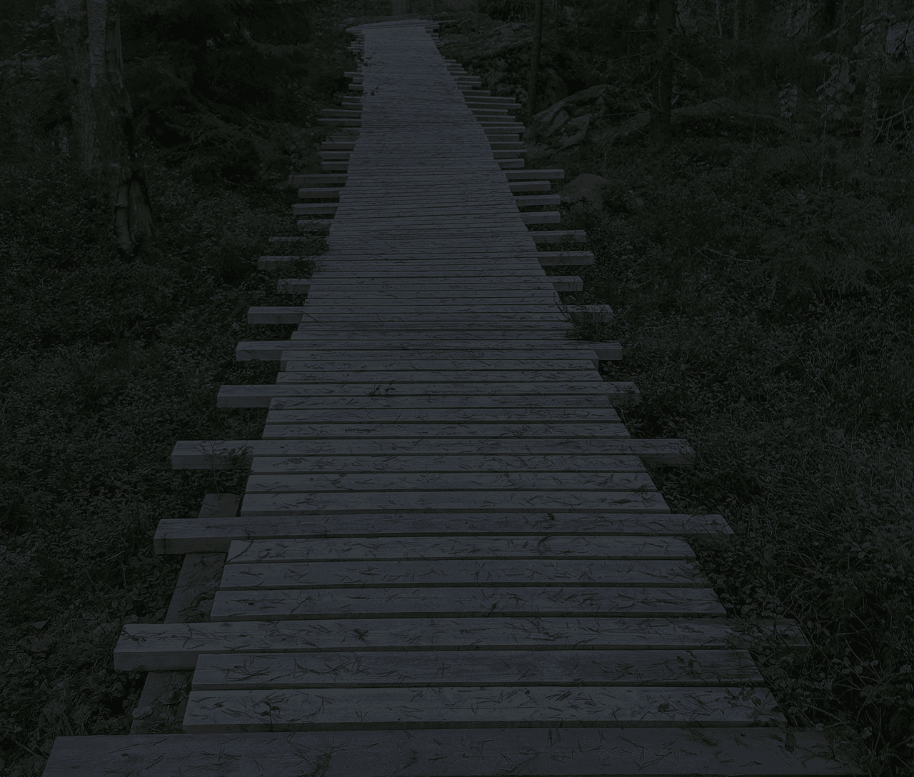 Silverwood Hero Image