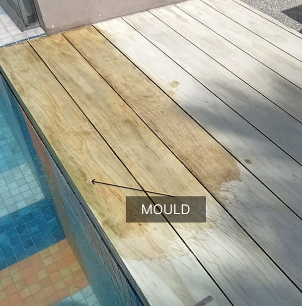 Mould Before Treatment