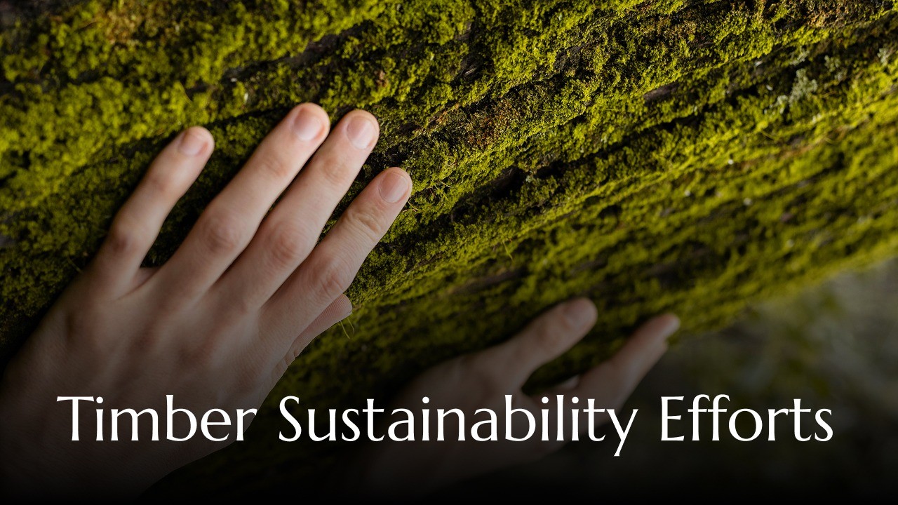 Calvary Carpentry Sustainability Report 2025